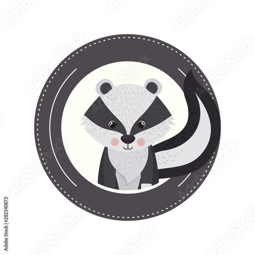 cute and adorable skunk with circular frame