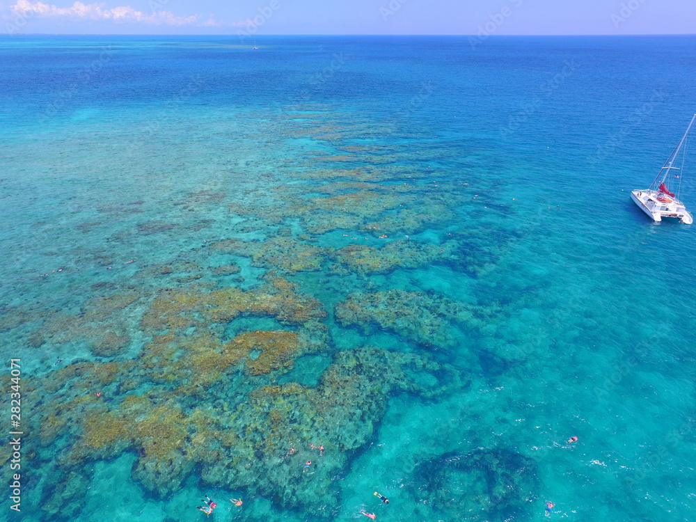 Key West Coral Reef