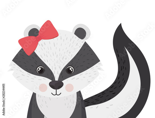 cute and adorable skunk with frame