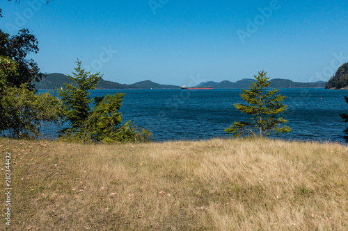 open field covered with brown grasses under the sun by the blue ocean coast with island covered in forest over the horizon under blue sky