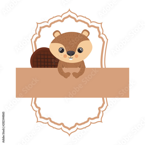 cute and adorable chipmunk with frame