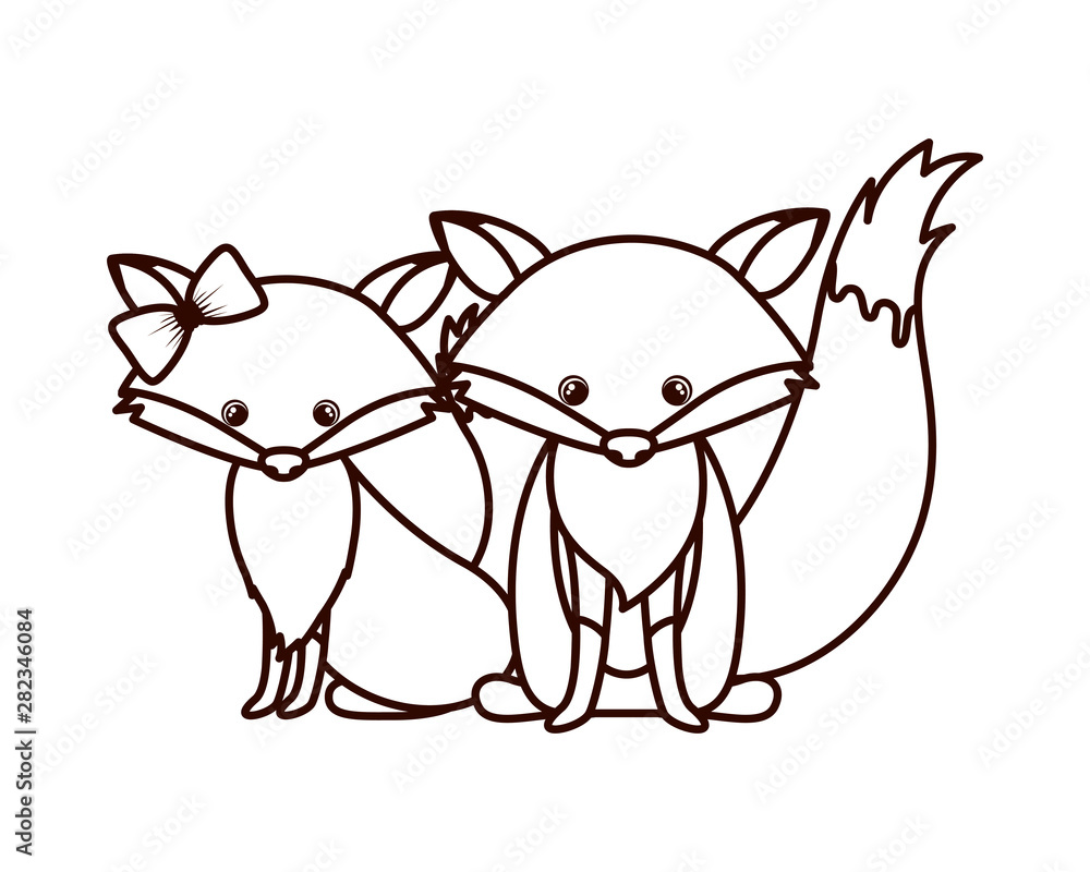 cute couple of foxes on white background cute couple of foxes on white background