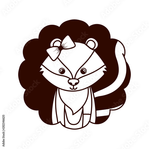 cute and adorable skunk with frame
