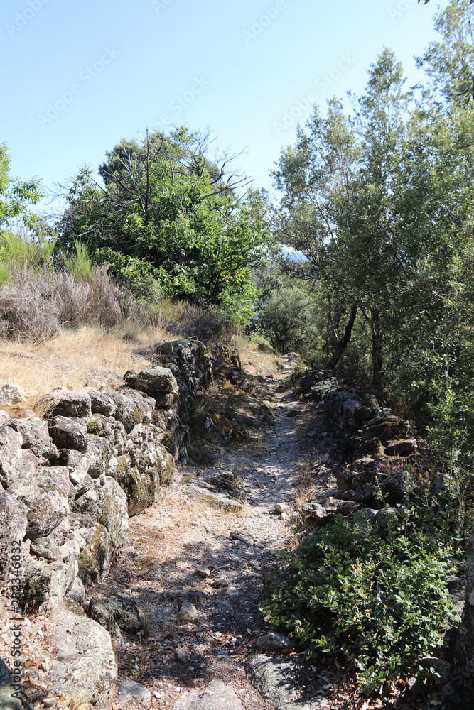 Fototapeta premium Chemin de randonnée dans les Cévennes 