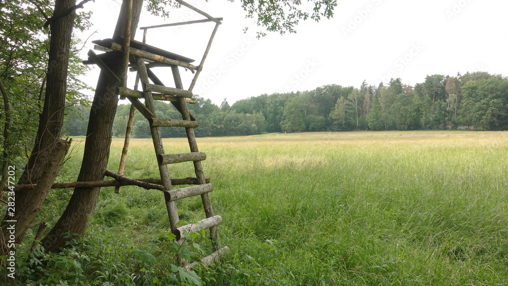 Wooden hunting stand at forest clearing