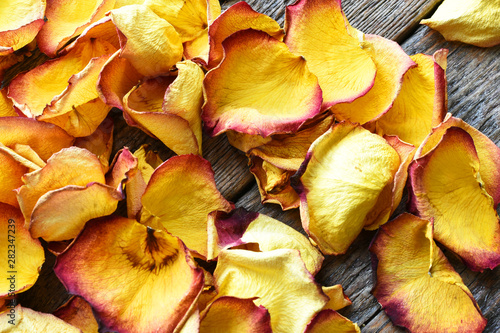 Dried Rose Petals Close Up