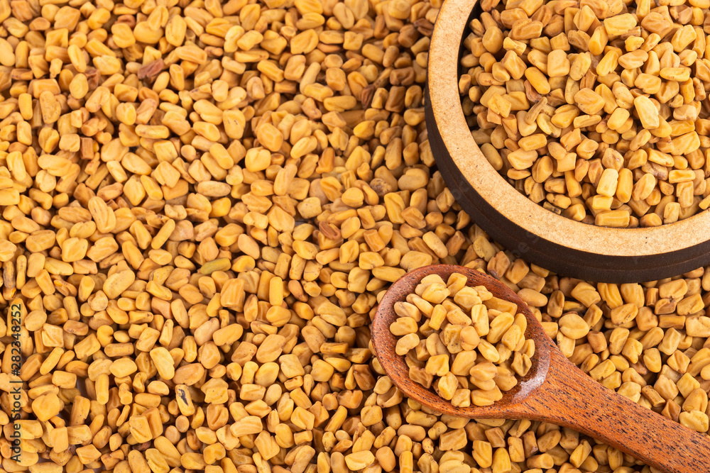 Fenugreek seeds. Trigonella foenum-graecum. Text space Fenugreek seeds. Trigonella foenum-graecum. Text space