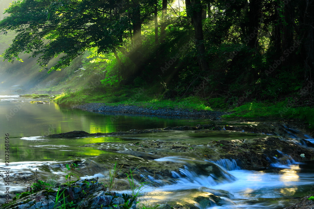 岩手県　夏の渓流
