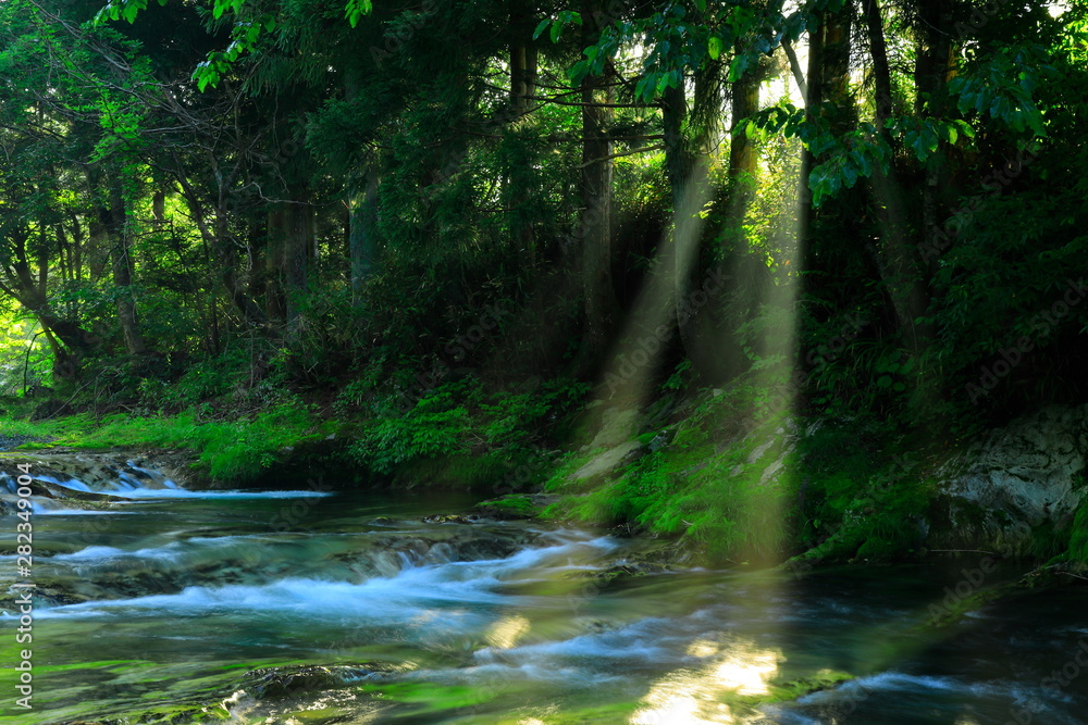 Obraz premium 岩手県 夏の渓流