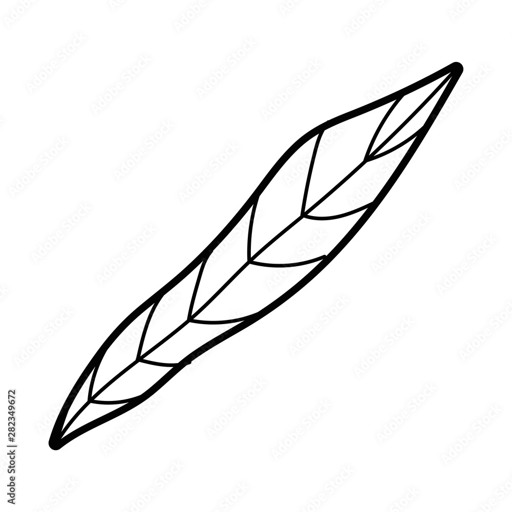 Isolated leaf design vector illustration Isolated leaf design vector illustration