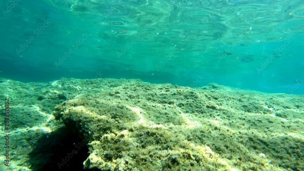 Underwater view of Sardinia rocky sea floor, Italy. Slow Motion effect Underwater view of Sardinia rocky sea floor, Italy. Slow Motion effect