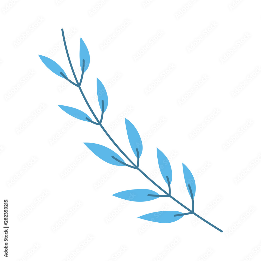 Isolated leaf design vector illustration Isolated leaf design vector illustration