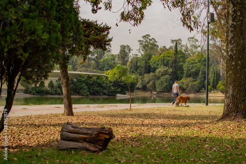 Día de paseo
