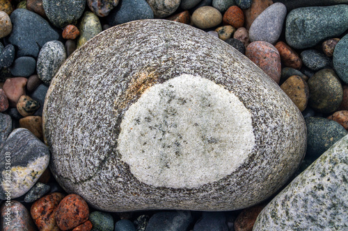 large boulder with white circle marking  Newfoundland