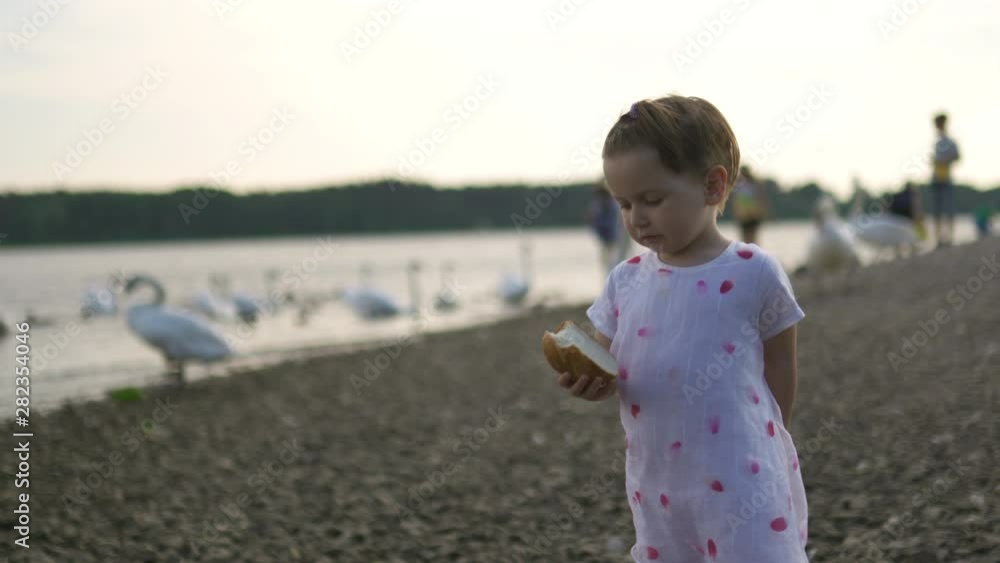 Young mother with her baby girl daughters feeding swan and little ducklings birds bread at a river wearing dotted dress - Family values warm color summer scene Young mother with her baby girl daughters feeding swan and little ducklings birds bread at a river wearing dotted dress - Family values warm color summer scene