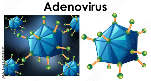 Close up isolated object of virus name adenovirus