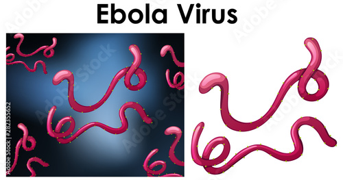 Close up isolated object of virus named ebola virus
