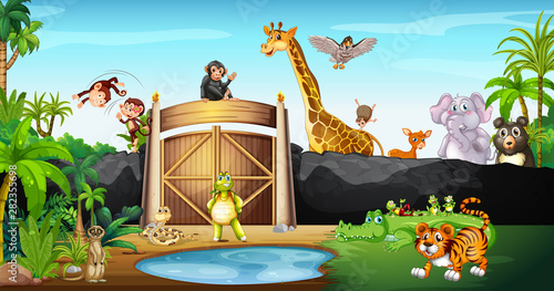 Many animals in the park