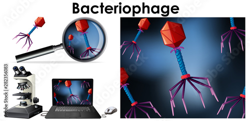 Close up isolated object of virus Bacteriophage