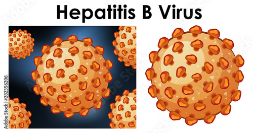 Close up isolated object of virus Hepatitis B