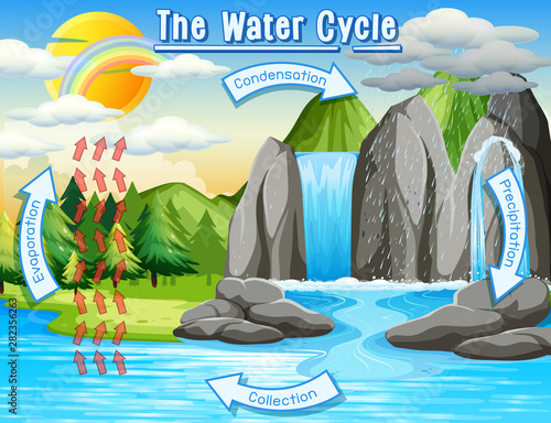 Water cycle process on Earth - Scientific