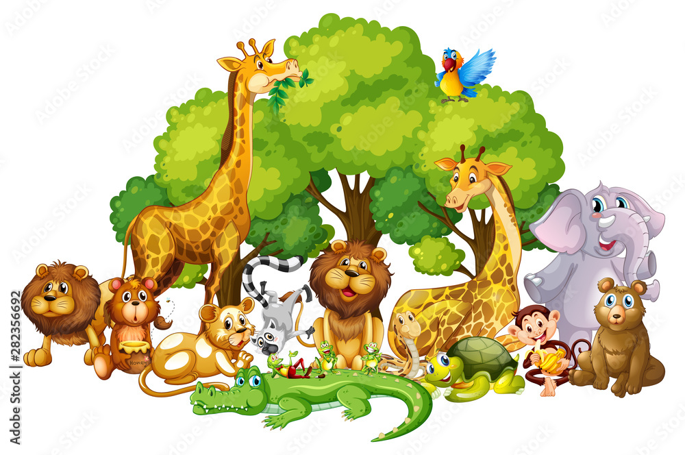 Fototapeta premium Wiele uroczych zwierzątek w parku