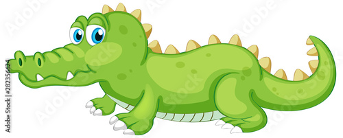 Green crocodile crawling on white background