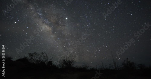 Desert Plants Ridge Milky Way Timelapse