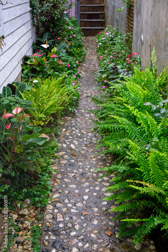 Relax and Fresh Beautiul Walkpath in the Garden After Rain