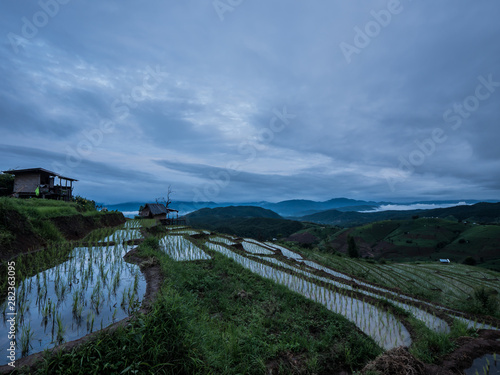 View of rice terraces at Thailand.
