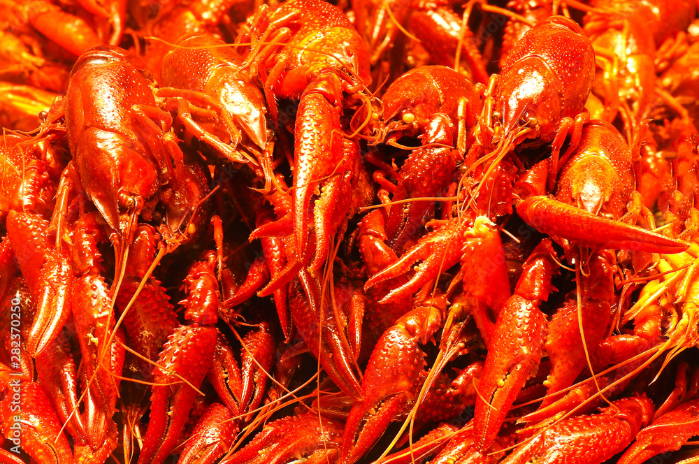 Red boiled crayfish. Good background. Food. Red boiled crayfish. Good background. Food.