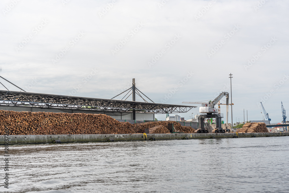 huge stacks of tree trunks lie in a transshipment port and are loaded by a large crane