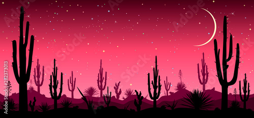 Desert at night cacti silhouettes stars moon. Desert, cacti, stars night. Starry night over the Mexican desert. Silhouettes of stones, cacti and plants. Desert landscape with cacti. Stony desert