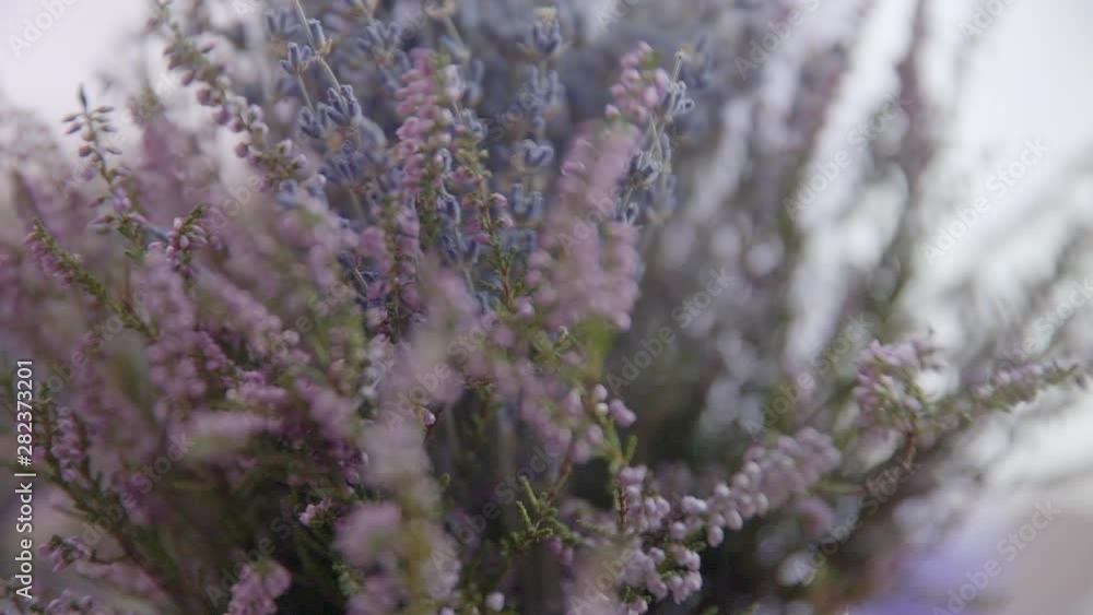 Female hand puts a bouquet of lavender on a wooden table Female hand puts a bouquet of lavender on a wooden table