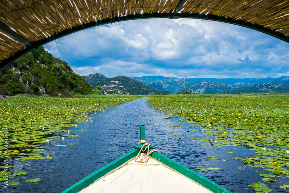 Montenegro, On a boat on waterway through green lily plants covering surface of skadar lake, a popular tourist destination and beautiful nature landscape