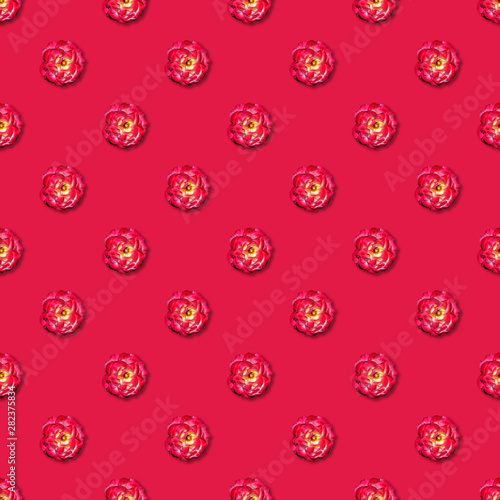 Vine red rose seamless pattern. Top view. Flat lay. Floral pattern