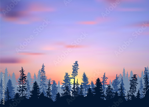 blue forest at lilac sunset