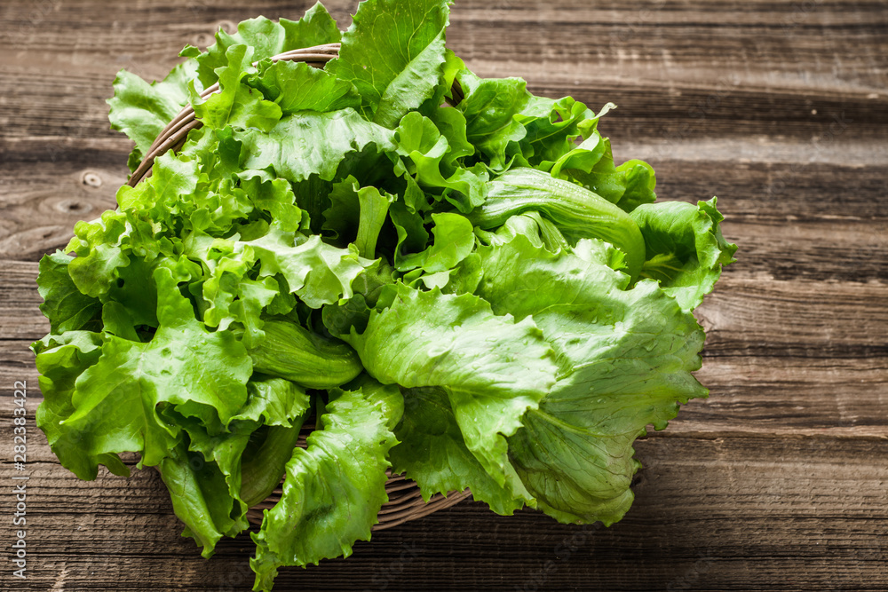 Green salad leafs. Organic fresh leaves of lettuce on farmers market. Green salad leafs. Organic fresh leaves of lettuce on farmers market.