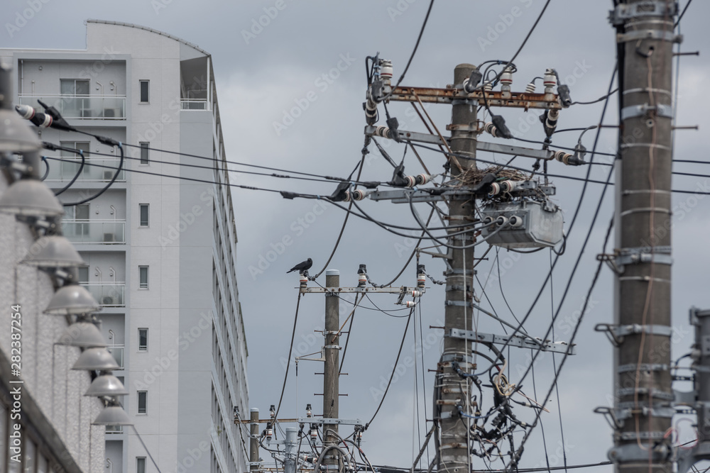 a crow and a nest on utility pole in Japan a crow and a nest on utility pole in Japan