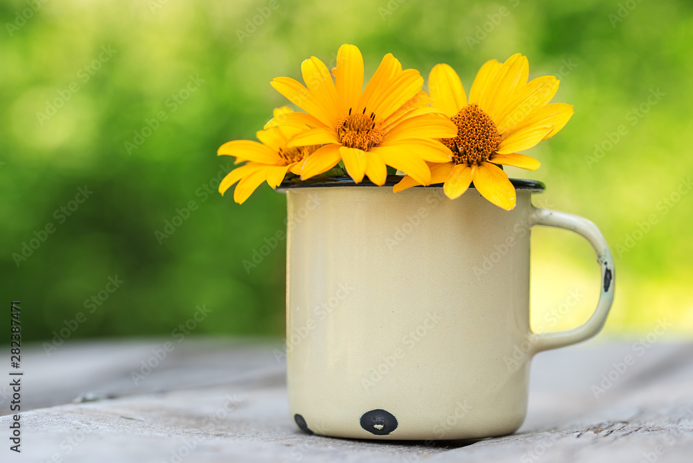 Fototapeta premium Yellow flowers in old metal cup