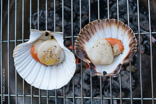 Mediterranean scallop (Pecten jacobaeus) on the grill with the grate on the background, seafood cooking - Image photo