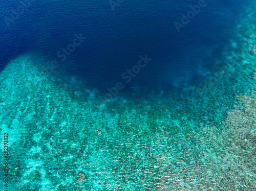 Aerial top down coral reef tropical caribbean sea  turquoise blue water. Indonesia Wakatobi archipelago  marine national park  tourist diving boat travel destination