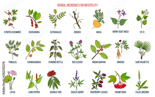 Best herbs for infertility
