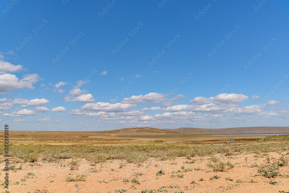 Koyashsky, salty, lake on a sunny day with clouds on the sky, shot during the season of golden autumn. Yellow-golden brown.