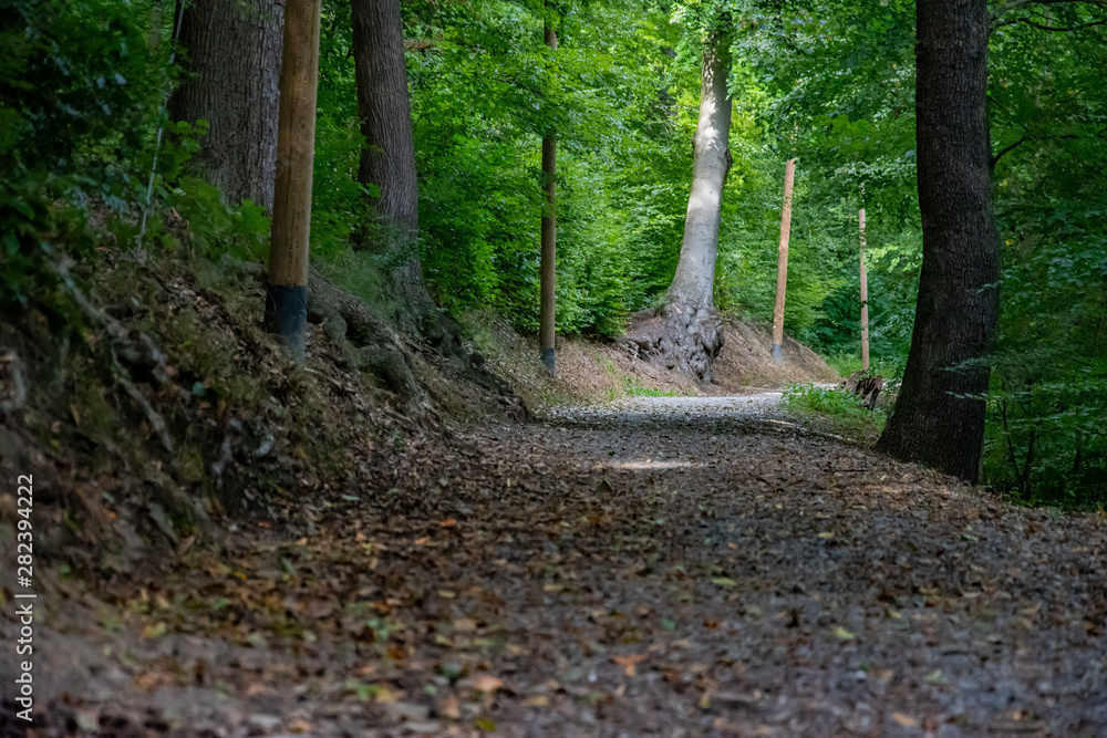 Naklejka premium Der Weg ist das Ziel