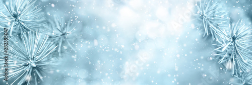 Christmas winter snow background with fir branches macro with soft focus and snowfall in blue tones with beautiful bokeh. Banner format, copy space. © Laura Pashkevich