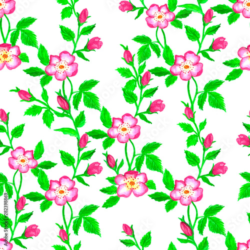 Wild roses watercolor seamless pattern. Flowers  leaves. Floral background. Fabric design  wallpaper