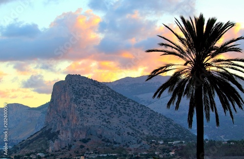 evocative image of Sicilian hills at dawn with palm in the foreground