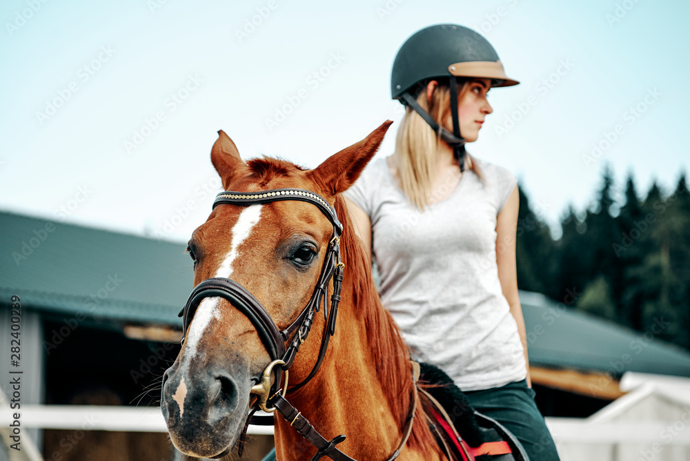 Obraz premium young girl rider in equipment on horseback. Horseback Riding.