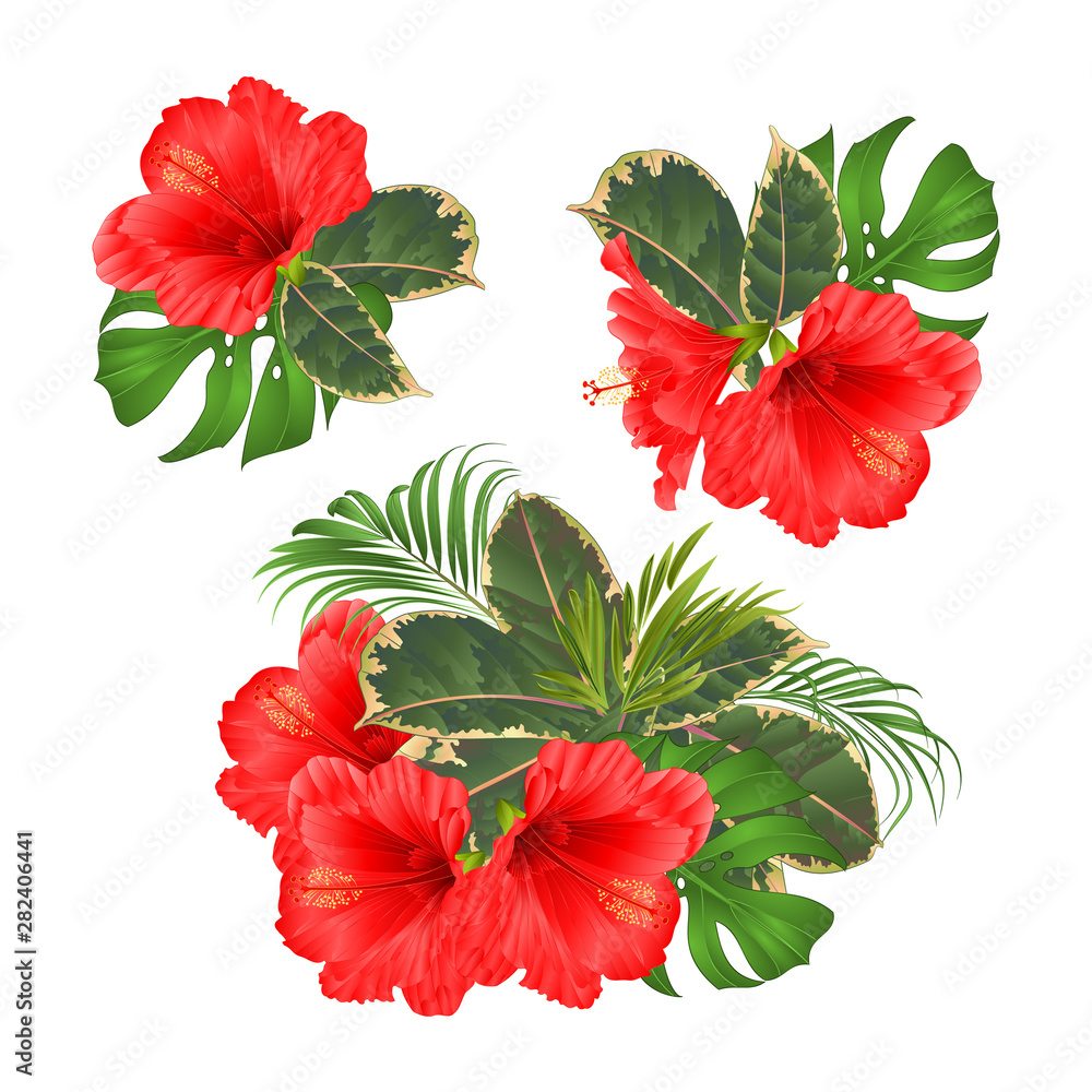 Beautiful Bouquet Of Tropical Flowers